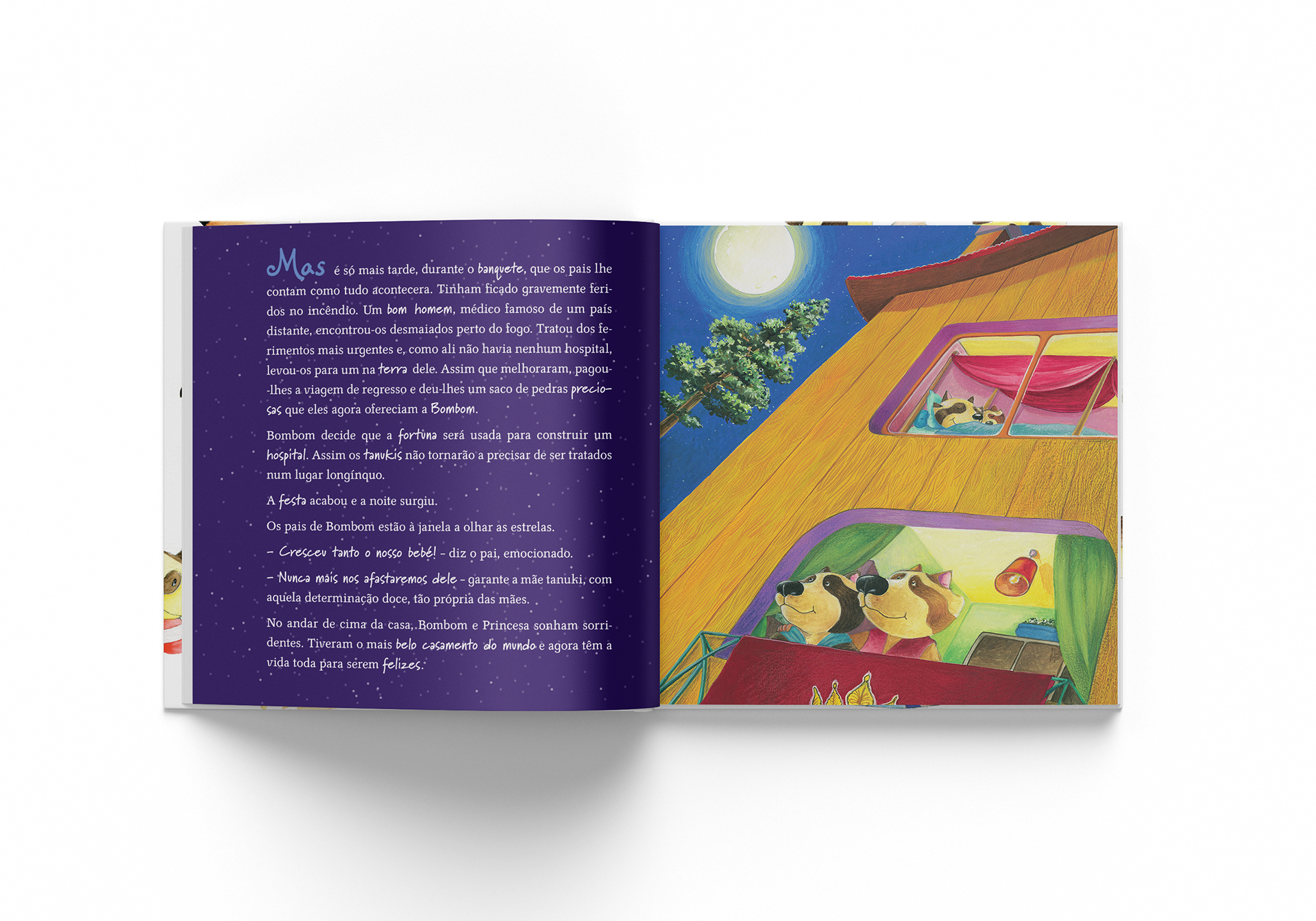 dinalivro book publisher “tanuki, bombom na cidade dos cangurus” visual design by avantia.design